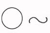SUMMER CIRCLE FORM AND GRACEFUL S LINES