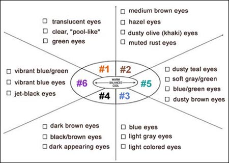 EYE QUESTIONNAIRE TO HELP DETERMINE INTER-SEASON INFLUENCE