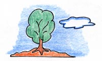 TREE