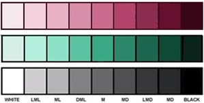 VALUE CHARTS OF PINK, GREEN AND BLACK