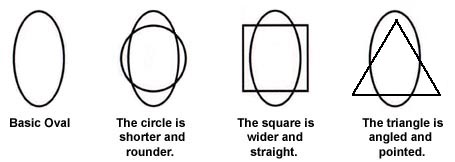 ILLUSTRATION COMPARING THE CIRCLE, SQUARE AND TRIANGLE IN RELATIONSHIP TO THE BASIC OVAL SHAPE