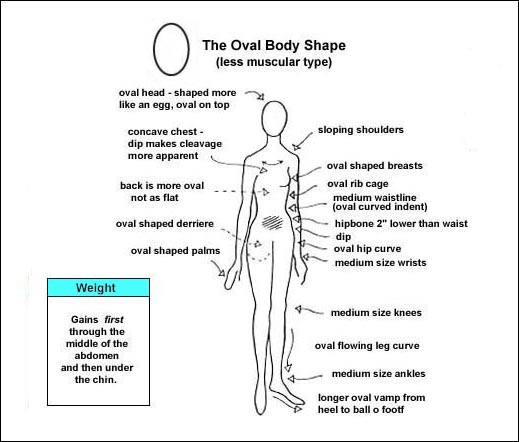 DIAGRAM OF THE OVAL BODY SHAPE