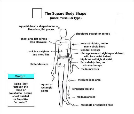 DIAGRAM OF THE SQUARE BODY SHAPE