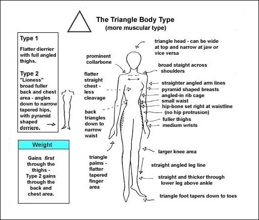 DIAGRAM OF THE TRIANGLE BODY SHAPE