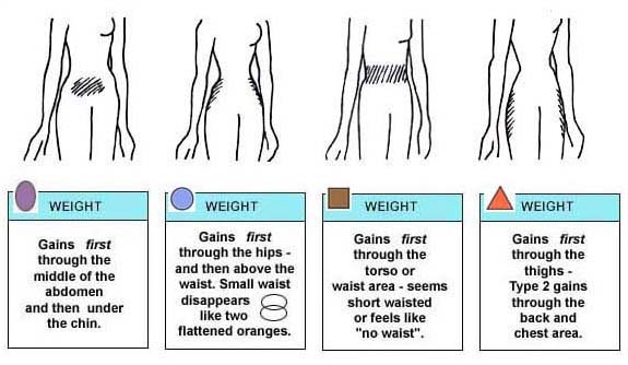 CHART SHOWING THE AREA EACH BODY TYPE TENDS TO PUT WEIGHT ON FIRST