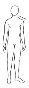 FSQUARE BODY SHAPE AND CLOTHING LINES 