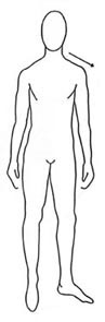 OVAL BODY SHAPE AND CLOTHING LINES