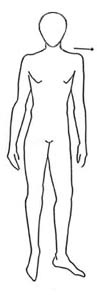 TRIANGLE BODY SHAPE AND CLOTHING LINES