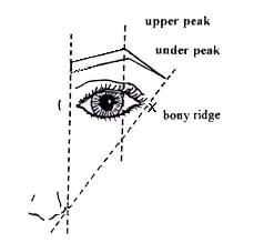 DRAWING OF CLASSIC EYEBROWN LINE
