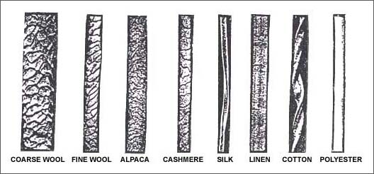 Magnified Hair Strand