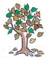 DRAWING OF AUTUMN TREE