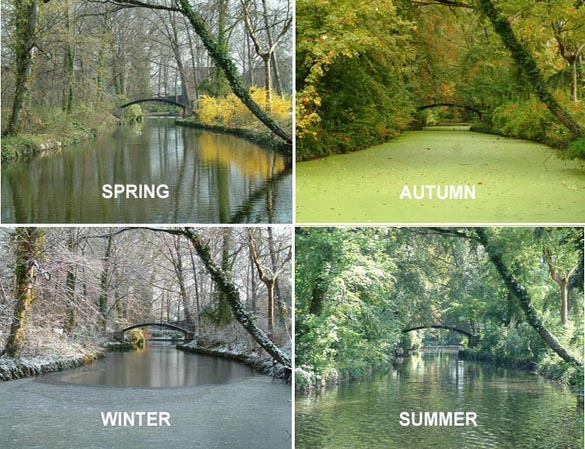 4 PHOTOS SHOWING HOW A SCENE OF A CREEK AND TREES CHANGES IN THE SPRING, SUMMER, AUTUMN AND WINTER